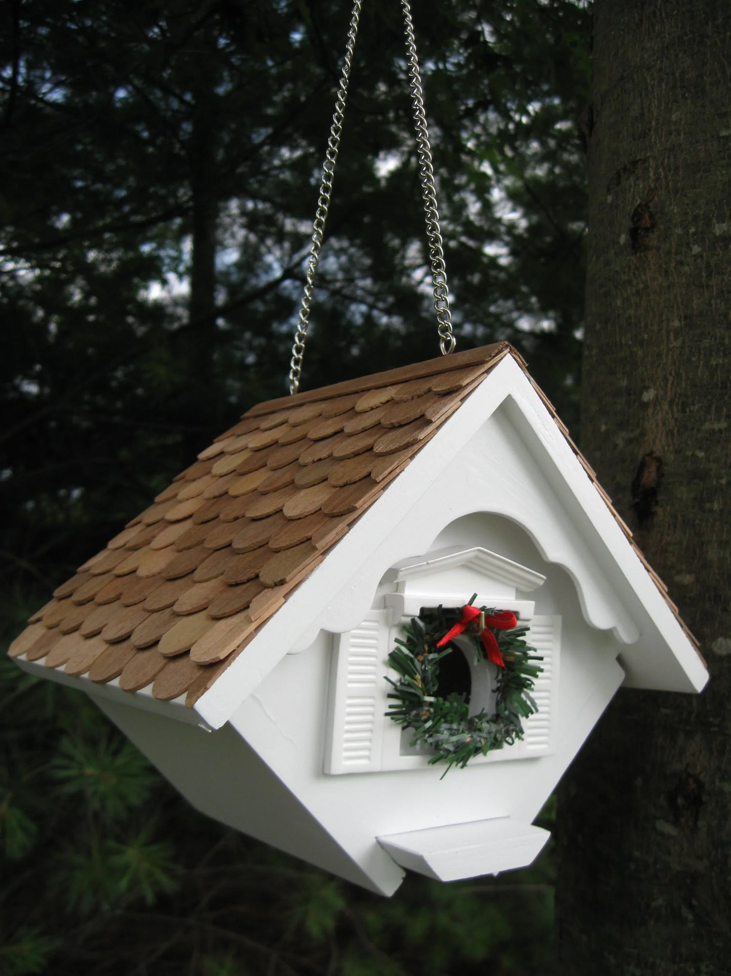 Carol's Christmas Wren