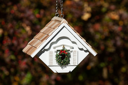 Carol's Christmas Wren