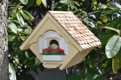 Carol's Little Yellow Wren